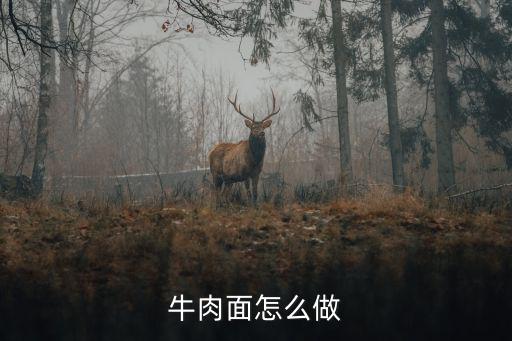 牛肉面怎么做
