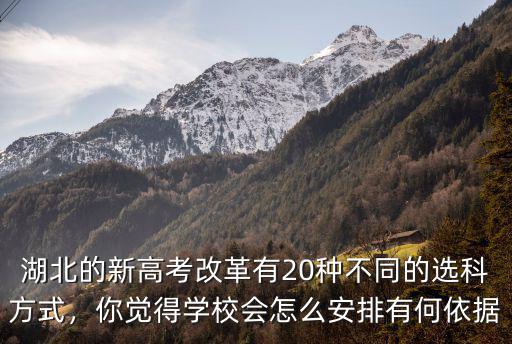 湖北的新高考改革有20種不同的選科方式，你覺得學校會怎么安排有何依據