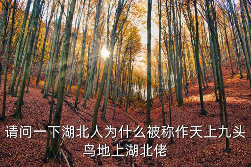 請問一下湖北人為什么被稱作天上九頭鳥地上湖北佬