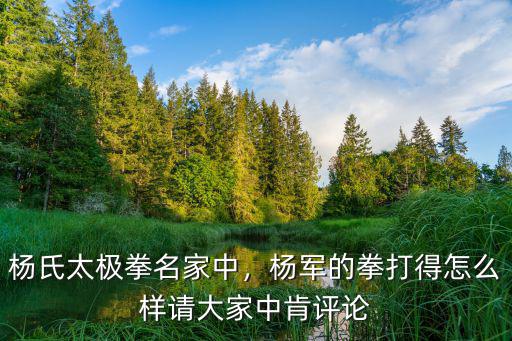 楊氏太極拳名家中，楊軍的拳打得怎么樣請(qǐng)大家中肯評(píng)論