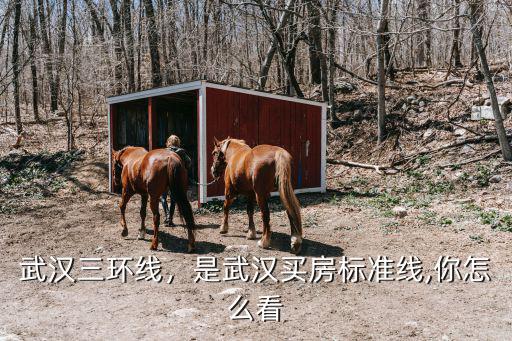 武漢天興洲怎么規(guī)劃,武漢天興洲為什么會漂移