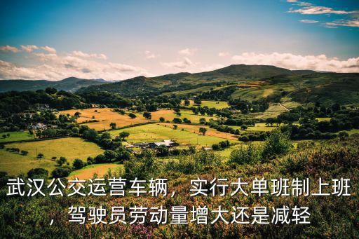 武漢人人車上班怎么樣,人人車二手車可以買嗎