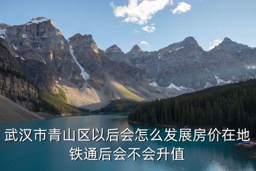 武漢市青山區(qū)以后會怎么發(fā)展房價在地鐵通后會不會升值