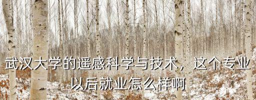 武漢大學的遙感科學與技術，這個專業以后就業怎么樣啊