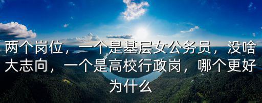 兩個崗位，一個是基層女公務員，沒啥大志向，一個是高校行政崗，哪個更好為什么