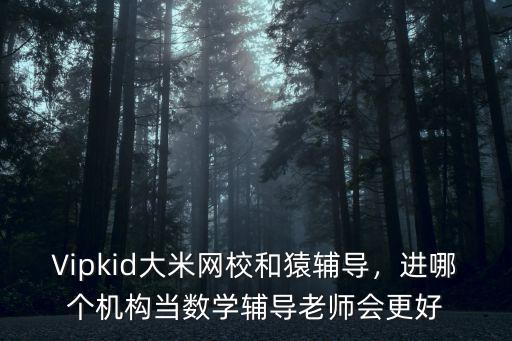 Vipkid大米網校和猿輔導，進哪個機構當數學輔導老師會更好
