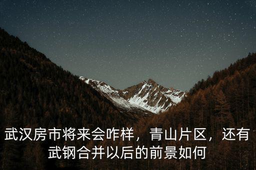 武漢房市將來會咋樣，青山片區，還有武鋼合并以后的前景如何