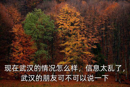 現(xiàn)在武漢的情況怎么樣，信息太亂了，武漢的朋友可不可以說一下