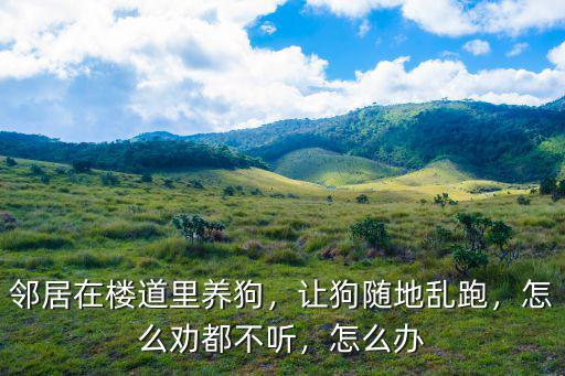 鄰居在樓道里養(yǎng)狗，讓狗隨地亂跑，怎么勸都不聽，怎么辦