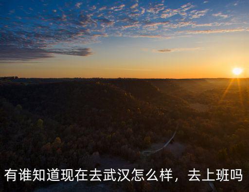 有誰知道現在去武漢怎么樣，去上班嗎