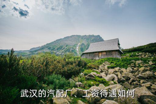武漢新程汽配廠待遇怎么樣,武漢東風(fēng)汽配廠待遇怎么樣