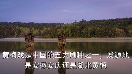 黃梅戲是中國的五大劇種之一，發源地是安徽安慶還是湖北黃梅
