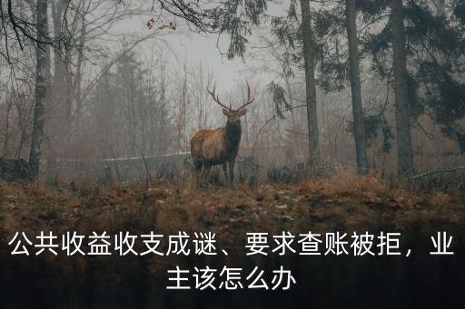 武漢物業不公示公共收益怎么舉報,物業侵吞全部公共收益