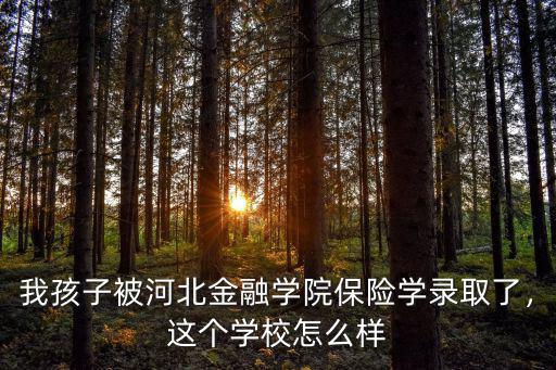 我孩子被河北金融學院保險學錄取了，這個學校怎么樣