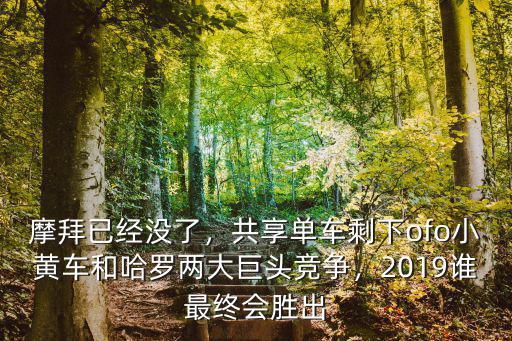 摩拜已經沒了，共享單車剩下ofo小黃車和哈羅兩大巨頭競爭，2019誰最終會勝出