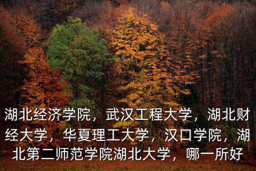 湖北經濟學院，武漢工程大學，湖北財經大學，華夏理工大學，漢口學院，湖北第二師范學院湖北大學，哪一所好