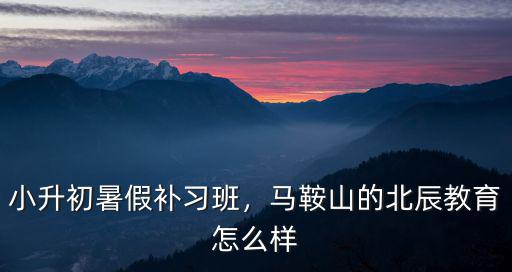 小升初暑假補習班，馬鞍山的北辰教育怎么樣