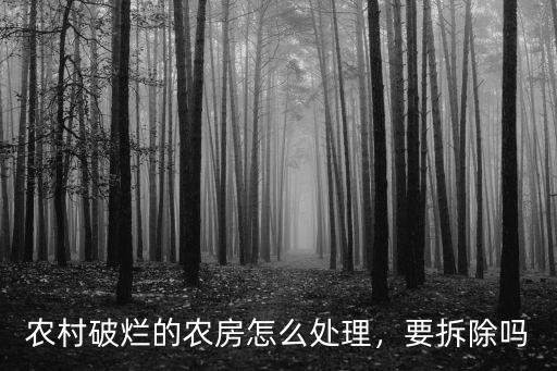 武漢市農(nóng)村閑置房屋怎么處理,農(nóng)村破爛的農(nóng)房怎么處理