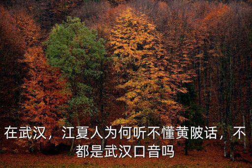 在武漢，江夏人為何聽不懂黃陂話，不都是武漢口音嗎