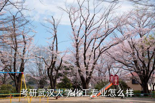 考研武漢大學化工專業怎么樣