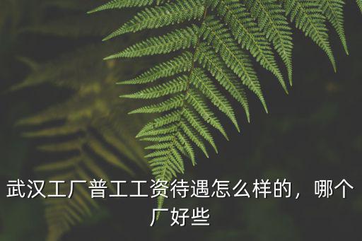 武漢工廠普工工資待遇怎么樣的，哪個廠好些