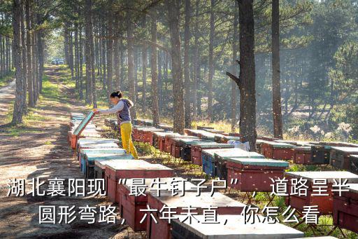湖北襄陽現“最牛釘子戶”，道路呈半圓形彎路，六年未直，你怎么看