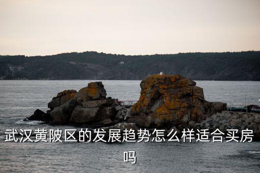 武漢黃陂區的發展趨勢怎么樣適合買房嗎
