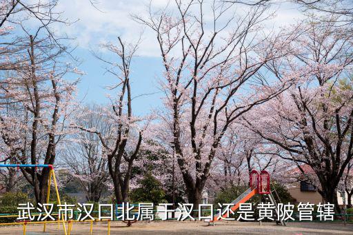 武漢市漢口北屬于漢口還是黃陂管轄