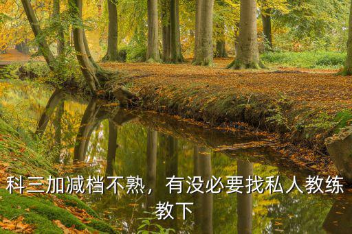 科三加減檔不熟，有沒必要找私人教練教下