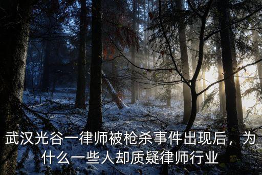 武漢光谷一律師被槍殺事件出現后，為什么一些人卻質疑律師行業