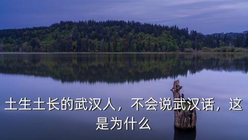 土生土長(zhǎng)的武漢人，不會(huì)說(shuō)武漢話，這是為什么