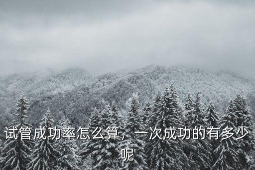 試管成功率怎么算，一次成功的有多少呢