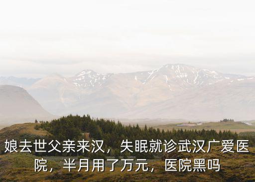娘去世父親來漢，失眠就診武漢廣愛醫院，半月用了萬元，醫院黑嗎