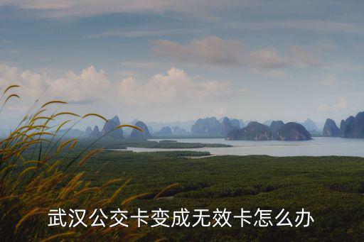 武漢公交卡變成無效卡怎么辦