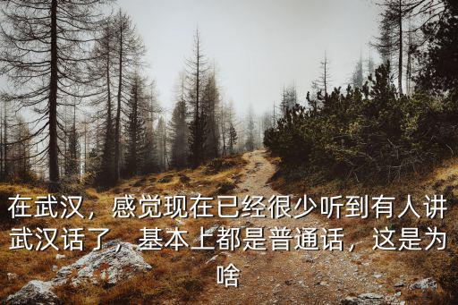 在武漢，感覺現(xiàn)在已經(jīng)很少聽到有人講武漢話了，基本上都是普通話，這是為啥