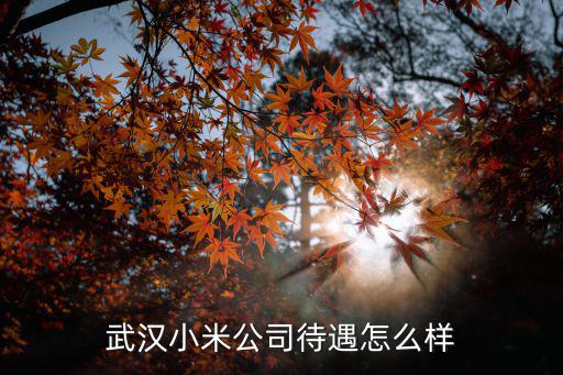 武漢小米公司待遇怎么樣