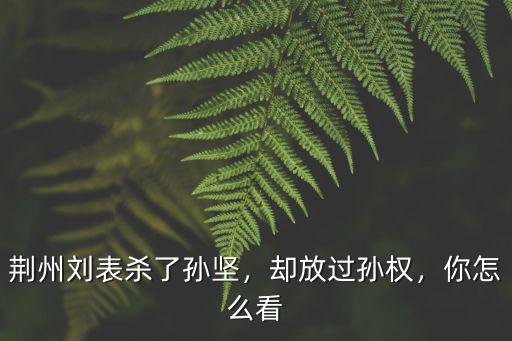 荊州劉表殺了孫堅，卻放過孫權，你怎么看