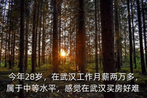 今年28歲，在武漢工作月薪兩萬多，屬于中等水平，感覺在武漢買房好難