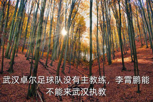 武漢卓爾足球隊沒有主教練，李霄鵬能不能來武漢執(zhí)教