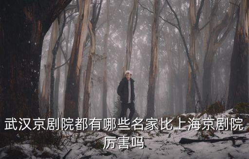 武漢京劇院都有哪些名家比上海京劇院厲害嗎