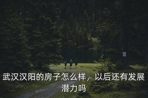武漢漢陽的房子怎么樣，以后還有發展潛力嗎