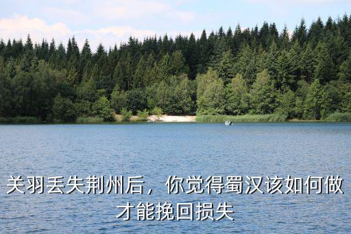 關(guān)羽丟失荊州后，你覺得蜀漢該如何做才能挽回?fù)p失