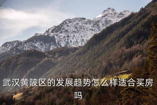 武漢黃陂區(qū)的發(fā)展趨勢(shì)怎么樣適合買房嗎