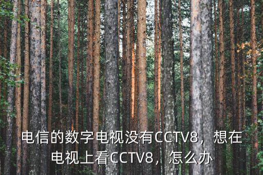 電信的數字電視沒有CCTV8，想在電視上看CCTV8，怎么辦