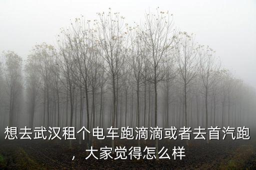 武漢電銷車怎么樣,現在在武漢開滴滴快車怎么樣