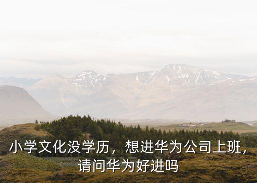 進武漢華為工廠怎么進去,去華為當普工可以從哪里進