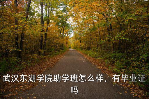 武漢東湖學院備用電卡怎么用,武漢東湖學院怎么樣