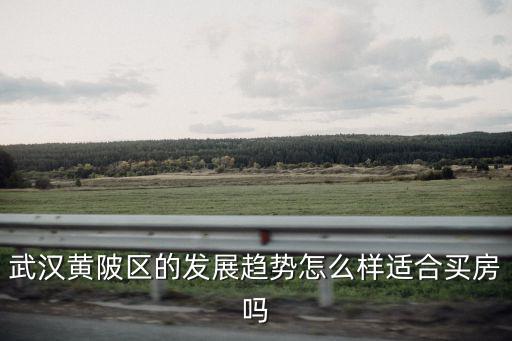 武漢黃陂區(qū)的發(fā)展趨勢怎么樣適合買房嗎