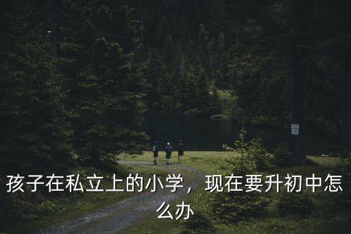 孩子在私立上的小學，現在要升初中怎么辦