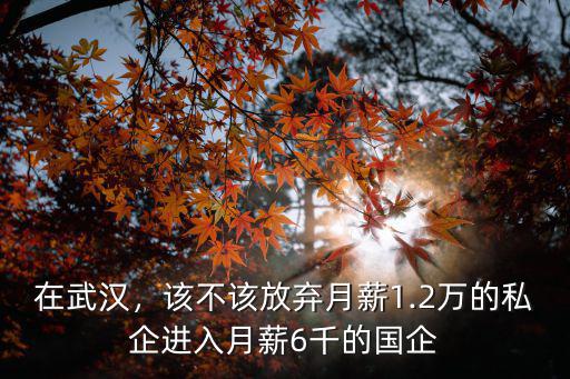 在武漢，該不該放棄月薪1.2萬的私企進入月薪6千的國企